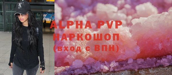 хмурый Гусь-Хрустальный