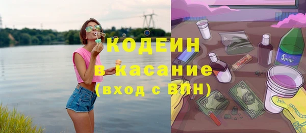 хмурый Гусь-Хрустальный