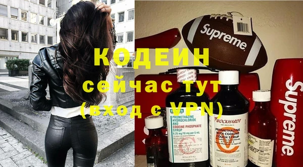 тгк Гусев