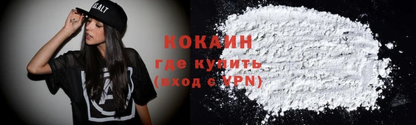 хмурый Гусь-Хрустальный