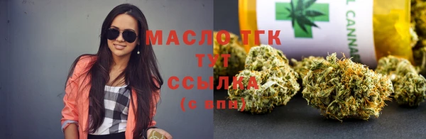 хмурый Гусь-Хрустальный