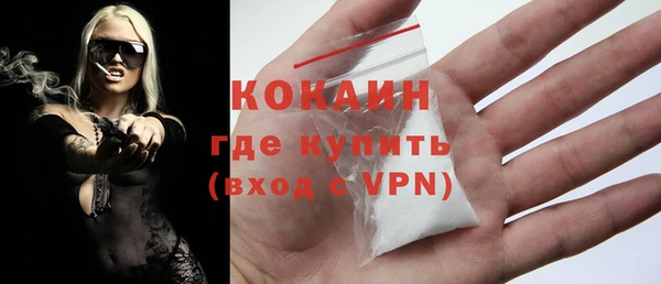 тгк Гусев