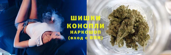 тгк Гусев