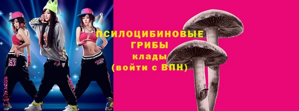хмурый Гусь-Хрустальный