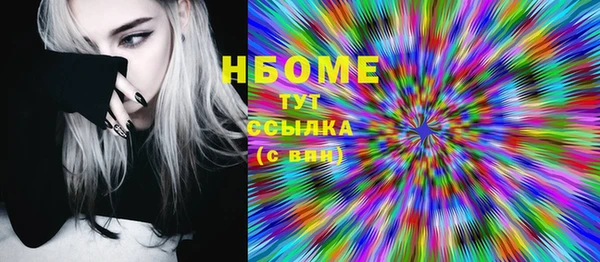 тгк Гусев