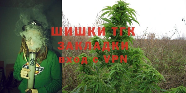 тгк Гусев
