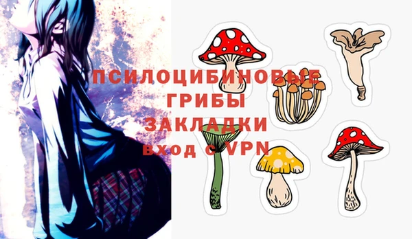 хмурый Гусь-Хрустальный
