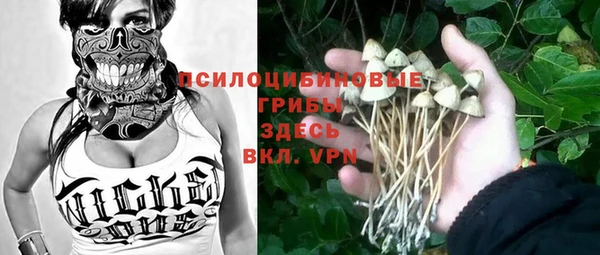 хмурый Гусь-Хрустальный