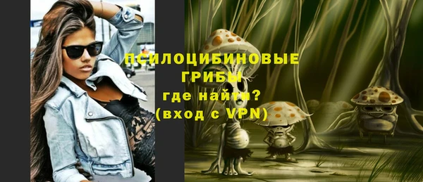 хмурый Гусь-Хрустальный