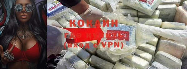 хмурый Гусь-Хрустальный
