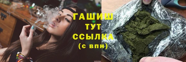 хмурый Гусь-Хрустальный
