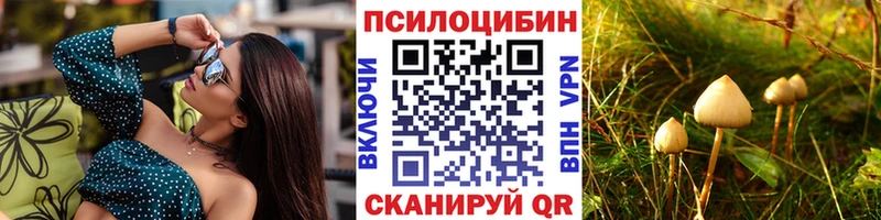 Псилоцибиновые грибы Cubensis  Купить  Княгинино 